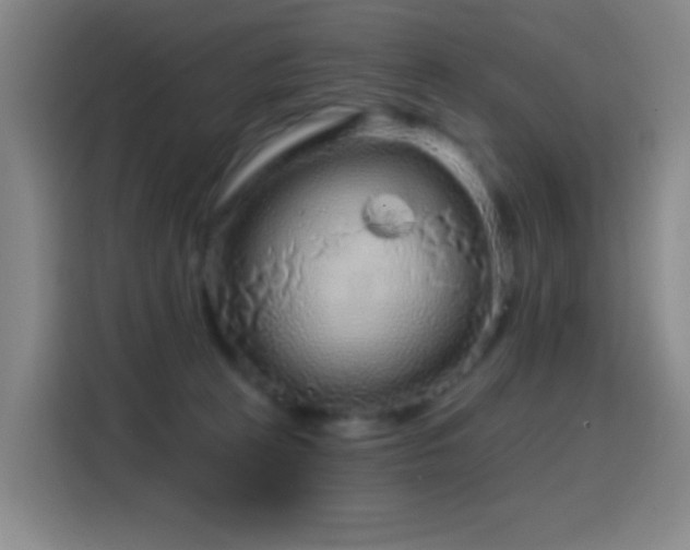 X0000114440273200910161401