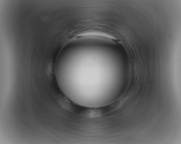 X0000114440275200910161401
