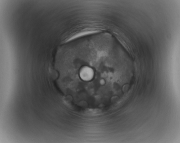 X0000114440277200910161401