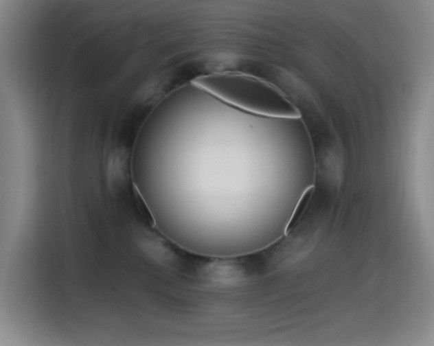 X0000114440280200910161401