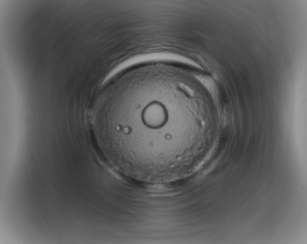X0000114440281200910161401