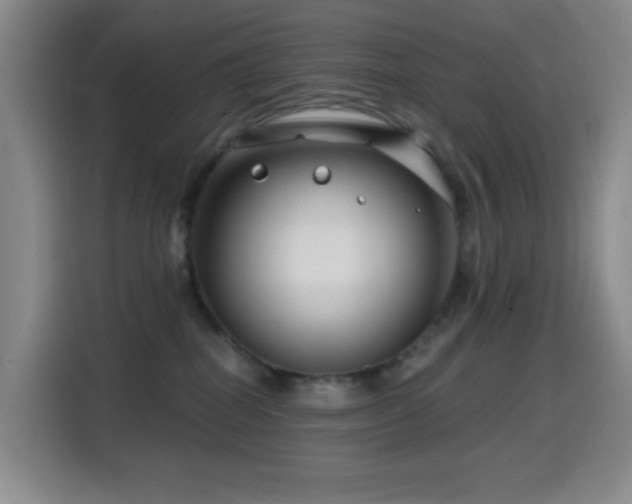 X0000114440282200910161401