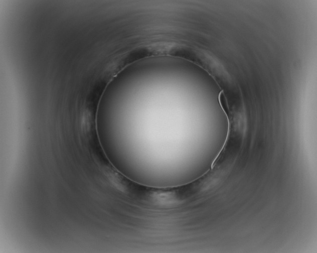 X0000114440283200910161401