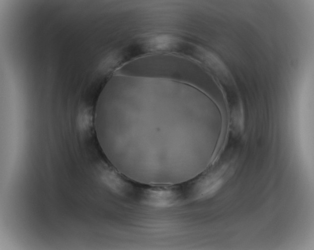 X0000114440284200910161401