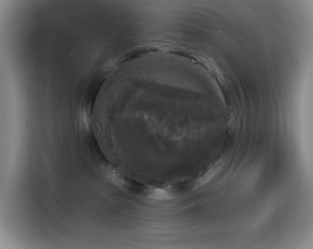 X0000114440285200910161401