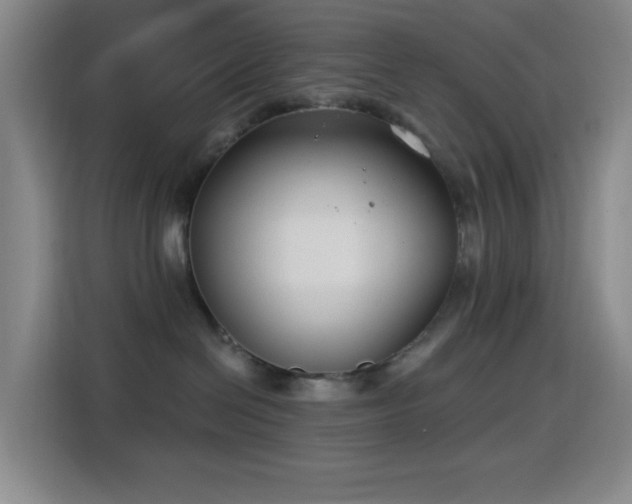 X0000114440286200910161401