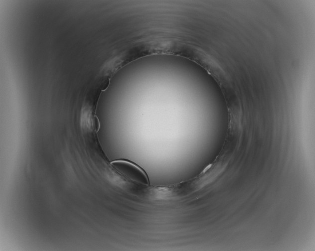 X0000114440287200910161401