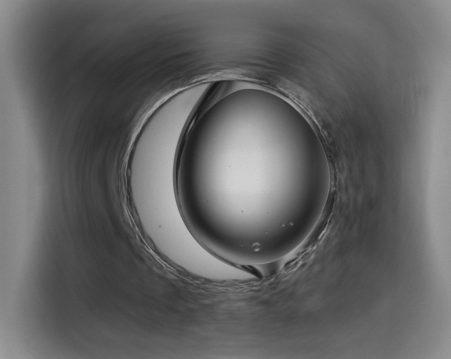 X0000114440289200910161401