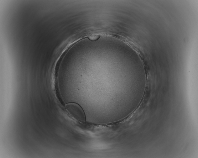X0000114440290200910161401