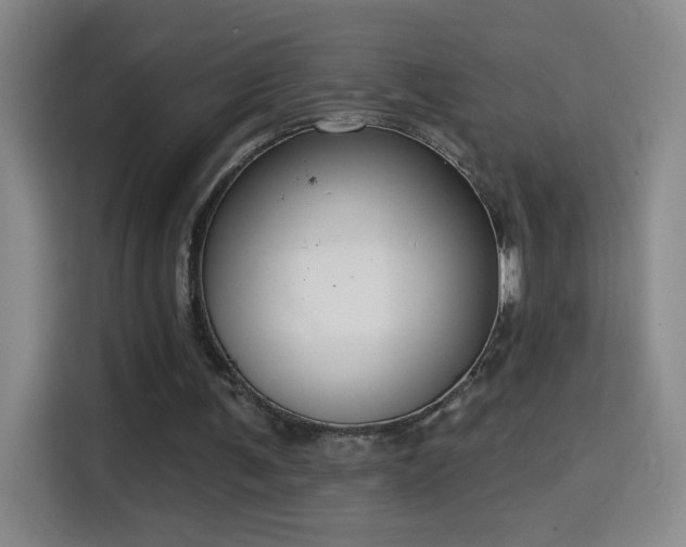 X0000114440291200910161401