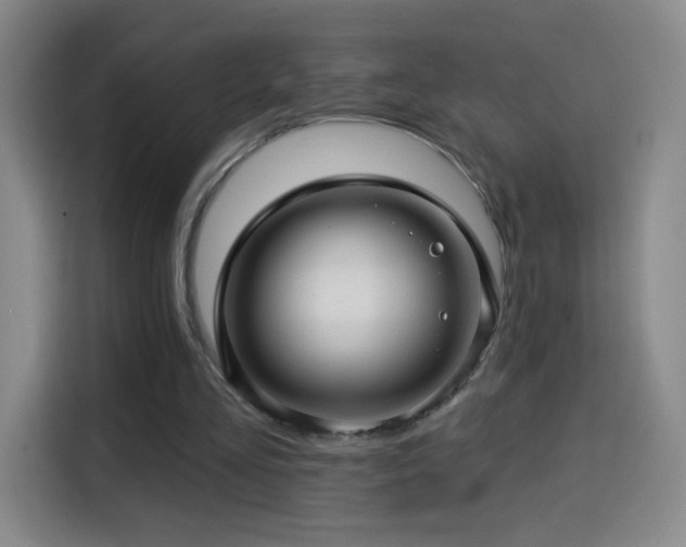 X0000114440293200910161401