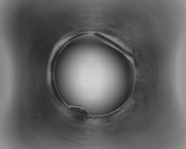 X0000114440294200910161401