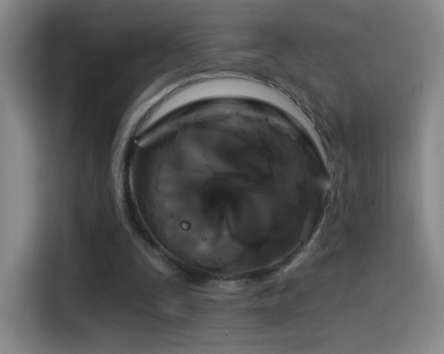 X0000114440295200910161401