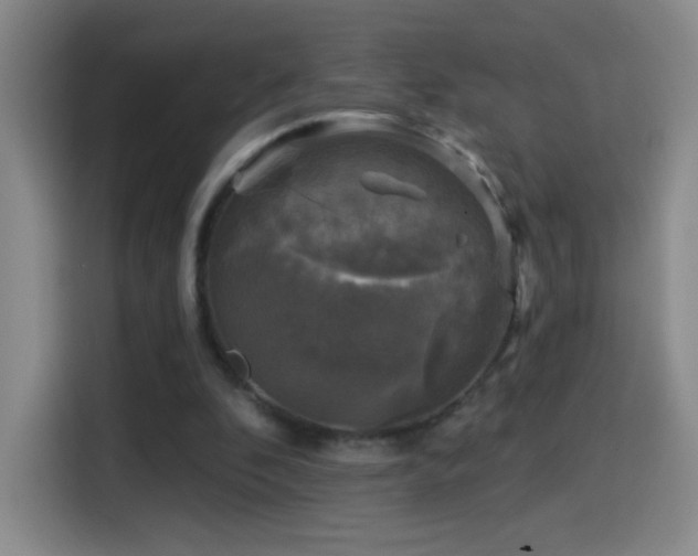 X0000114440296200910161401