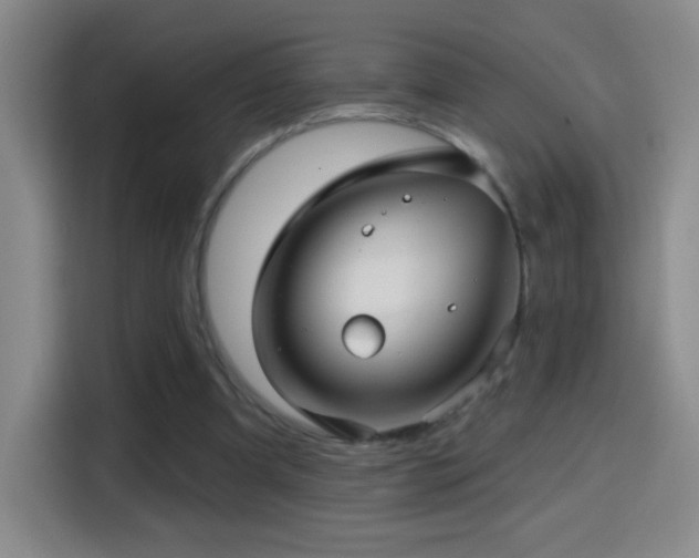 X0000114440297200910161401