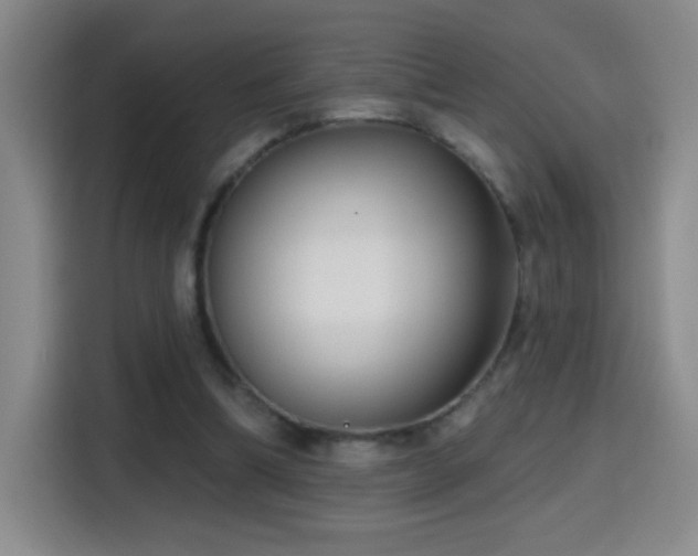 X0000114440298200910161401