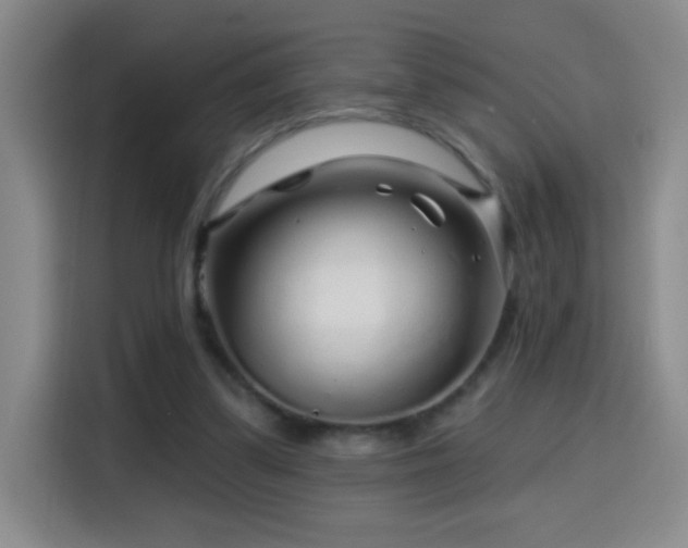 X0000114440299200910161401
