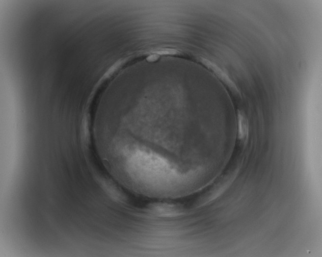 X0000114440300200910161401