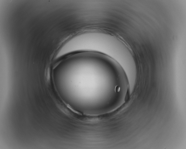 X0000114440301200910161401
