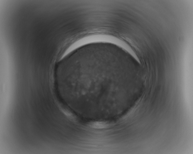 X0000114440303200910161401