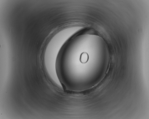 X0000114440304200910161401