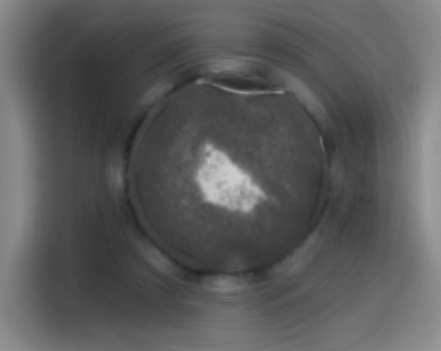X0000114440305200910161401