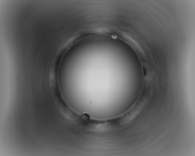 X0000114440306200910161401