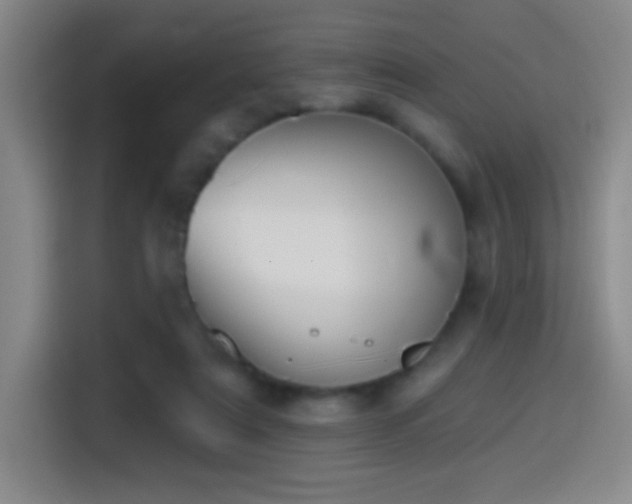 X0000114440307200910161401