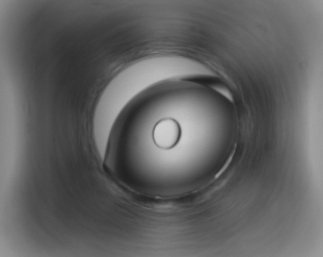 X0000114440309200910161400