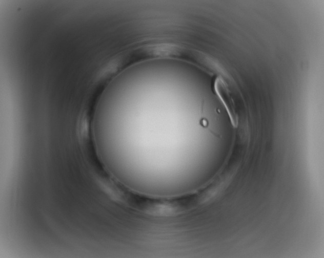 X0000114440310200910161400