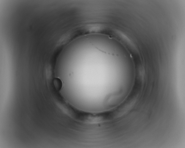 X0000114440311200910161400