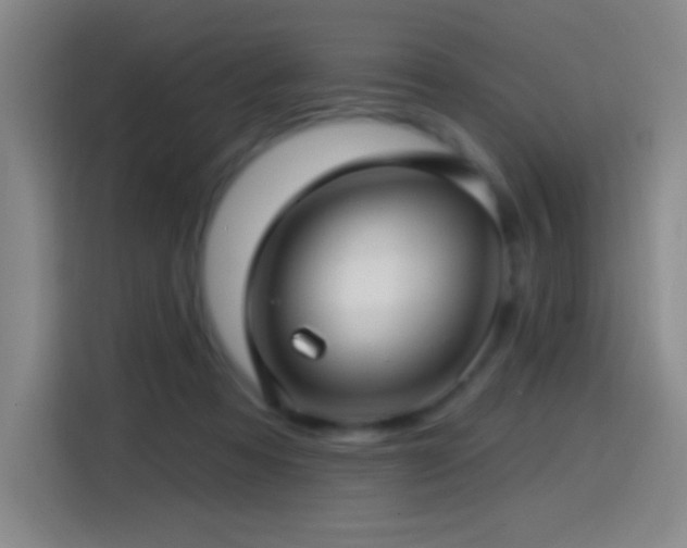 X0000114440313200910161400