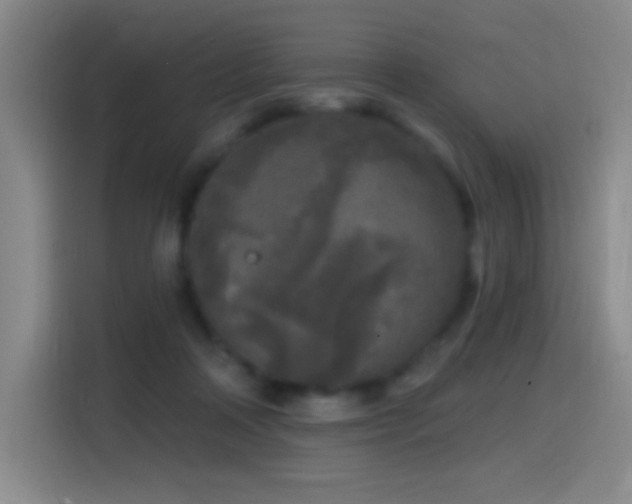 X0000114440314200910161400