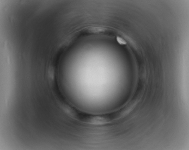 X0000114440315200910161400