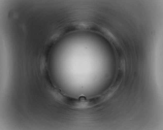 X0000114440318200910161400