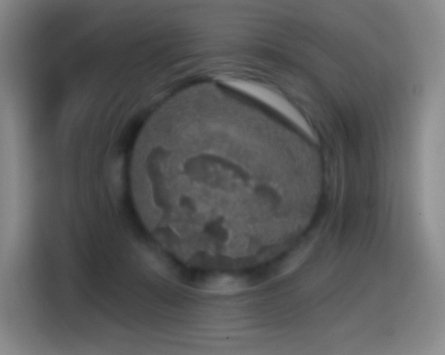 X0000114440319200910161400