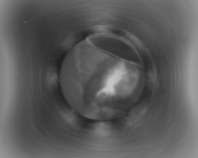 X0000114440320200910161400