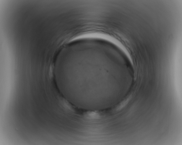 X0000114440325200910161400