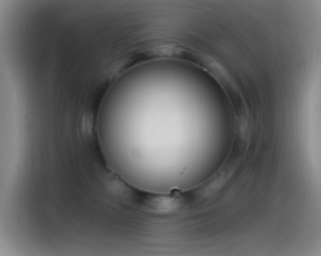 X0000114440326200910161400