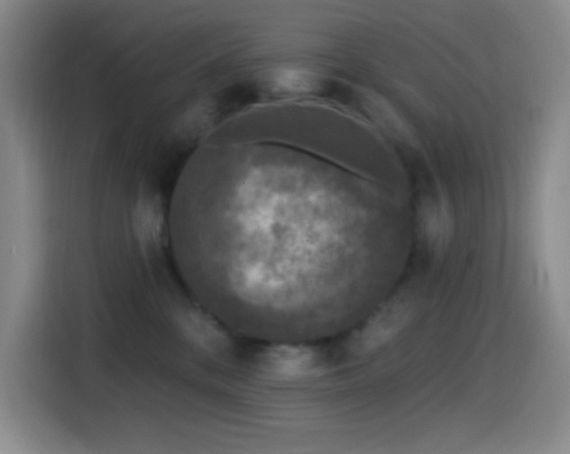 X0000114440328200910161400