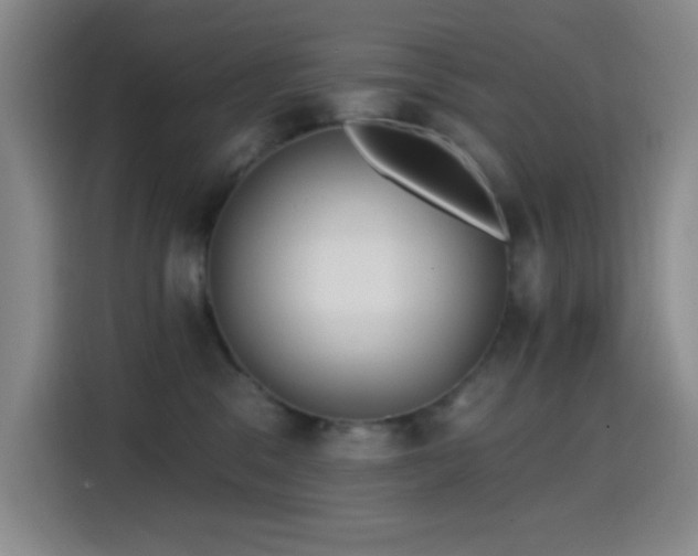 X0000114440329200910161400