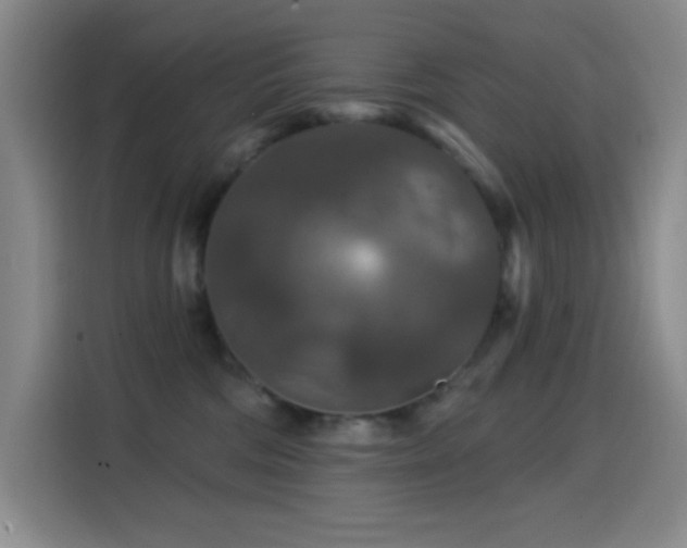 X0000114440330200910161400
