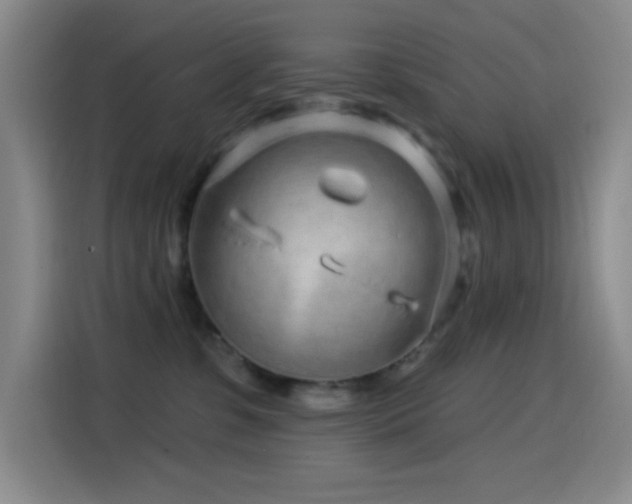 X0000114440331200910161400