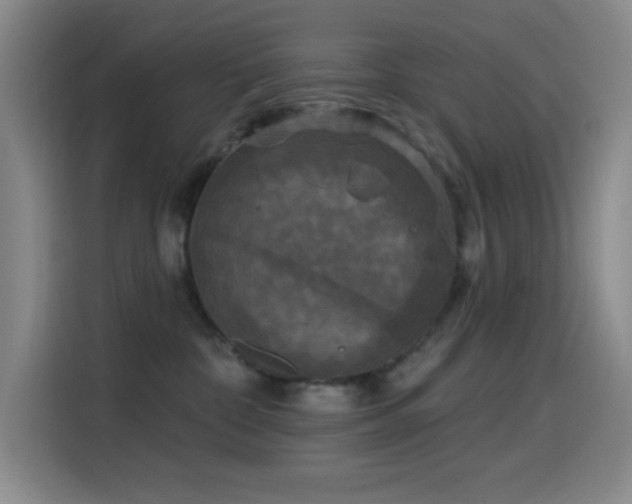 X0000114440332200910161400