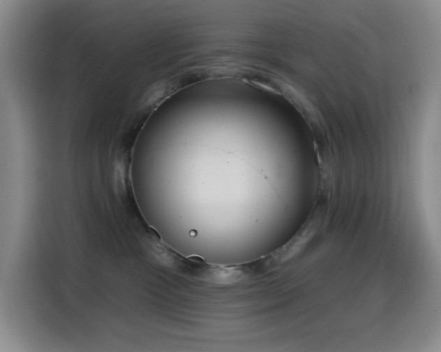X0000114440333200910161400