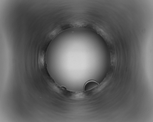 X0000114440334200910161400