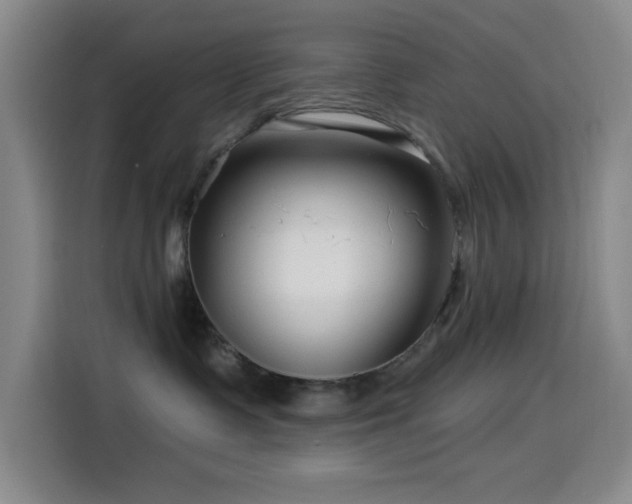 X0000114440335200910161400