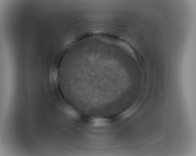 X0000114440336200910161400
