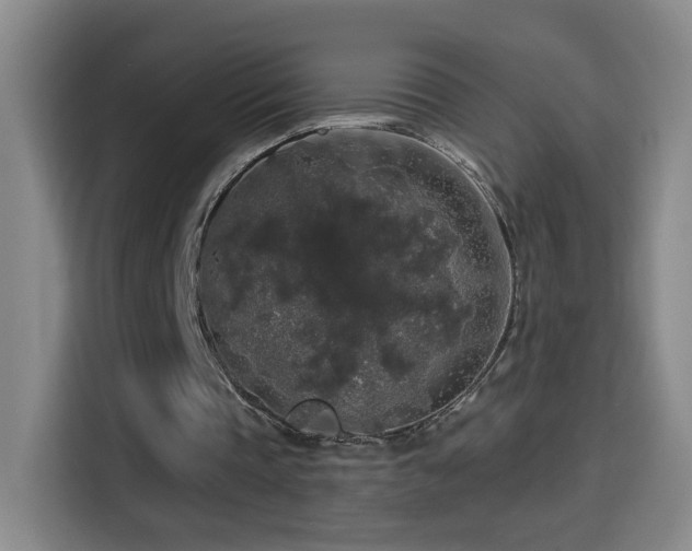X0000114440337200910161359