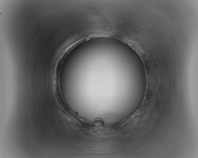 X0000114440338200910161359